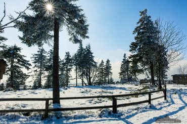 Einzelcoaching im Nationalpark Harz - Wurmberg