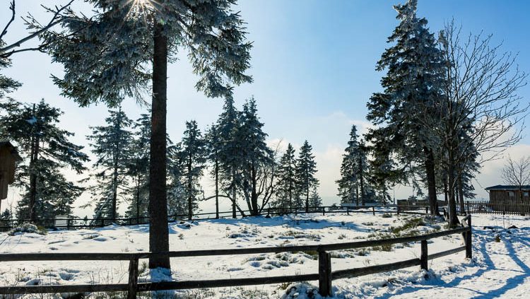 Einzelcoaching im Nationalpark Harz - Wurmberg