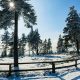 Einzelcoaching im Nationalpark Harz - Wurmberg