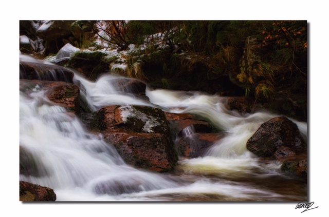 Fotokurs mit Cordula