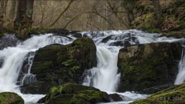 Am Selkefall mit Foto-Wandern.com © ER 2016