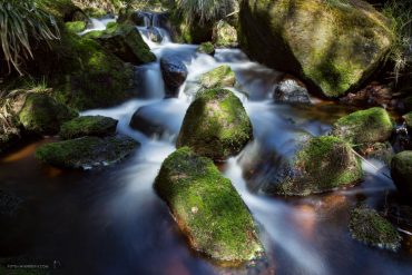 Foto-Wandern.com - Fotokurse im Harz @ Andreas Levi