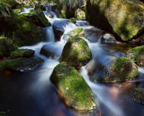 Foto-Wandern.com - Fotokurse im Harz @ Andreas Levi