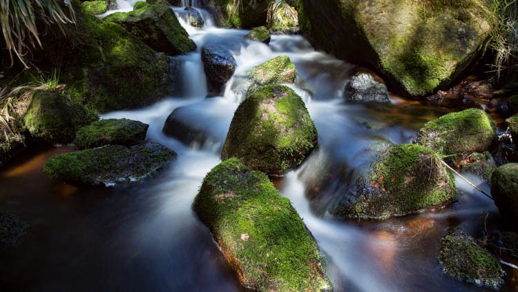 Foto-Wandern.com - Fotokurse im Harz @ Andreas Levi