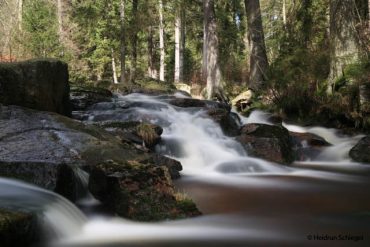 Fotokurs Langzeitbelichtung im Nationalpark Harz © Heidrun Schlegel