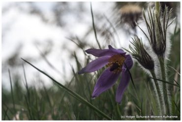 Fotowanderung Badraer Schweiz mit Foto-Wandern.com © Holger Schurack