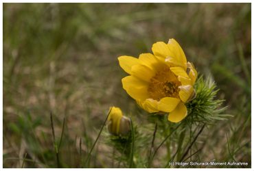 Fotowanderung Badraer Schweiz mit Foto-Wandern.com © Holger Schurack