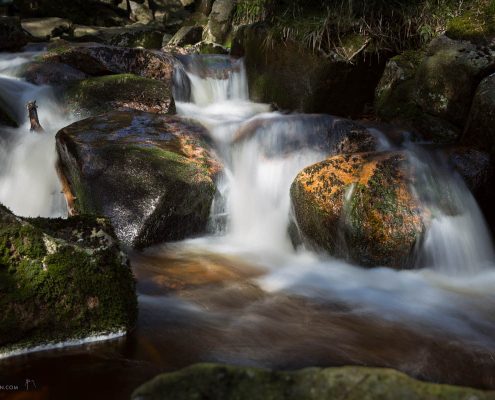 Frühling an der Warmen Bode im Harz