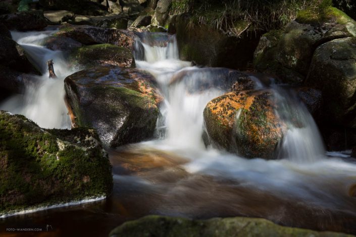 Frühling an der Warmen Bode im Harz Frühling an der Warmen Bode im Harz