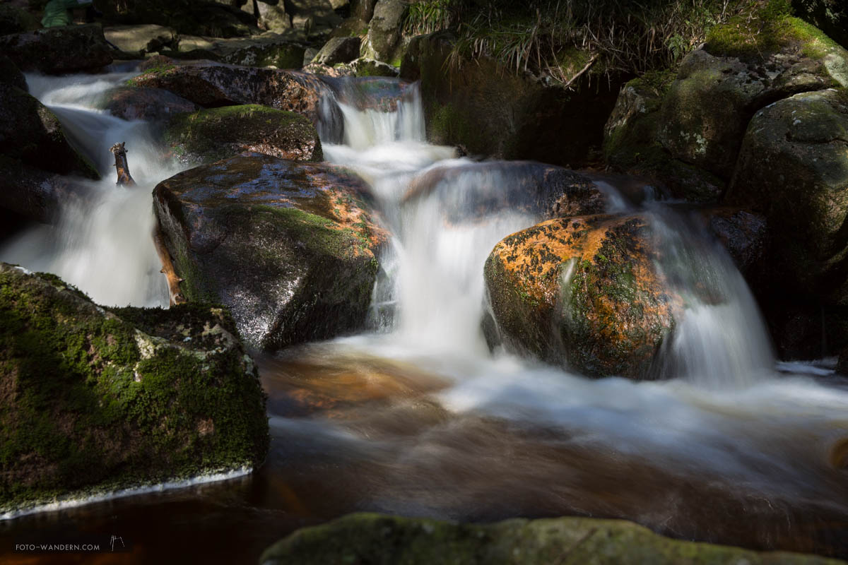 Frühling an der Warmen Bode im Harz