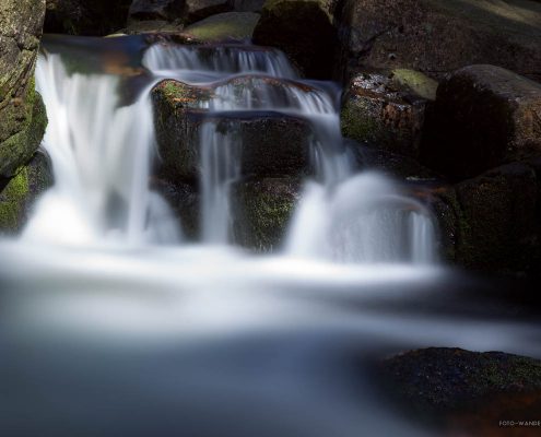 Fotokurse an der Warmen Bode im Harz