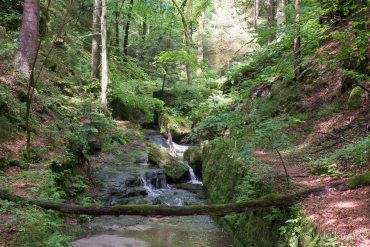 Fotoreise Sächsische Schweiz © Udo Kröner