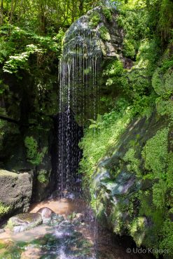 Fotoreise Sächsische Schweiz © Udo Kröner