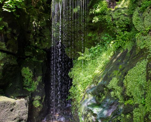 Foto-Wandern.com - Fotoreise Sächsische Schweiz © Udo Kröner-DSC_5517-2 Fotoreise Sächsische Schweiz © Udo Kröner