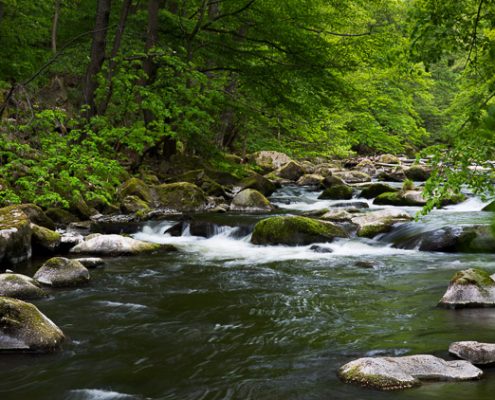 Fotowanderung durch das Bodetal