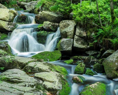 Fotokurse mit Foto-Wandern.com © Hartmut Schulz