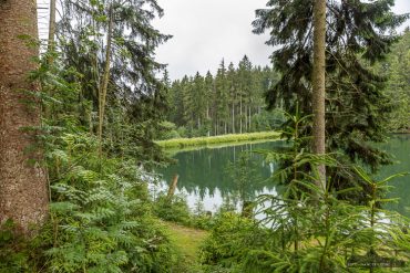 Fotowanderung auf dem Liebesbankweg