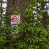 Landschaftsfotografie auf dem Liebesbankwegesbankweg