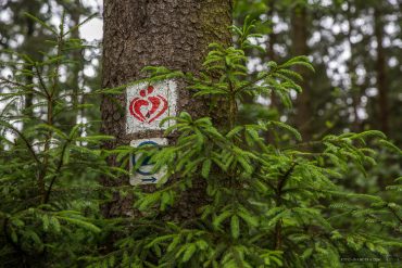 Landschaftsfotografie auf dem Liebesbankwegesbankweg