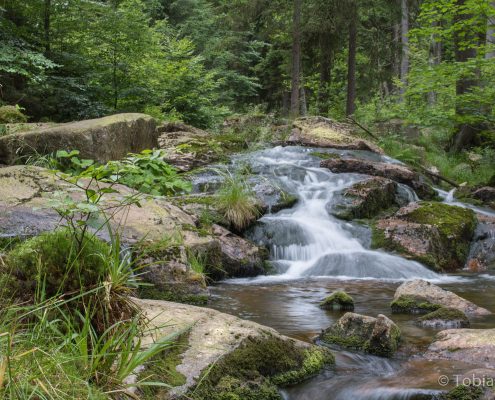 Fotokurs Langzeitbelichtungen im Harz