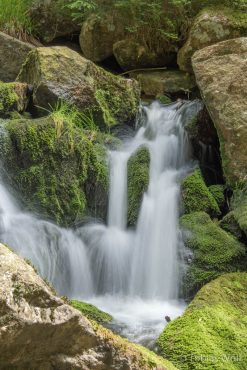 Fotokurs Langzeitbelichtungen im Harz