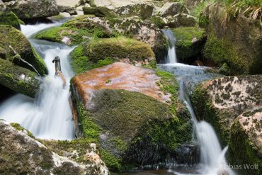 Fotokurs Langzeitbelichtungen im Harz