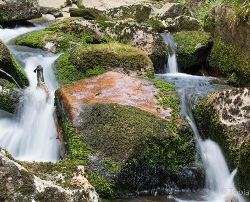 Fotokurs Langzeitbelichtungen im Harz