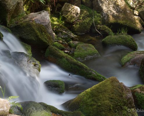 Fotokurs Langzeitbelichtungen im Harz