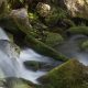 Fotokurs Langzeitbelichtungen im Harz