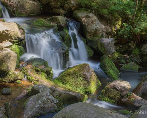 Fotokurs Langzeitbelichtungen im Harz