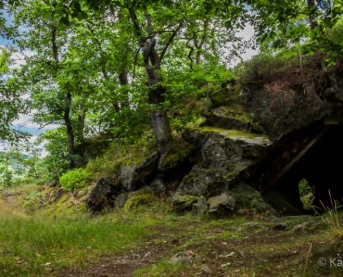 Selketal 2016-07-09-2929 Fotokurs Selketal