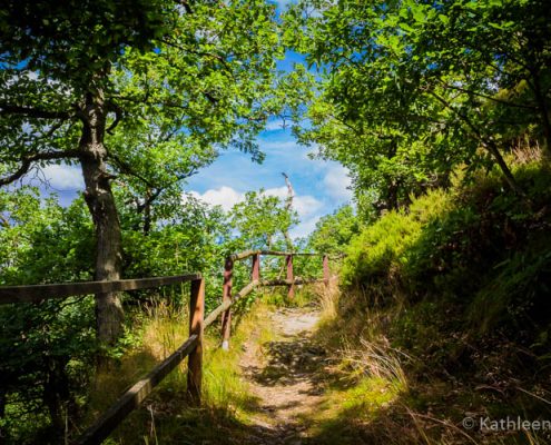 Selketal 2016-07-09-2937 Fotokurs Selketal