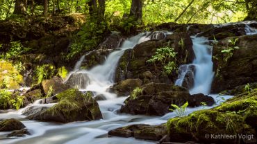 Fotokurs Selketal