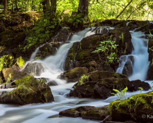 Selketal 2016-07-09-2971-Bearbeitet-Bearbeitet Fotokurs Selketal