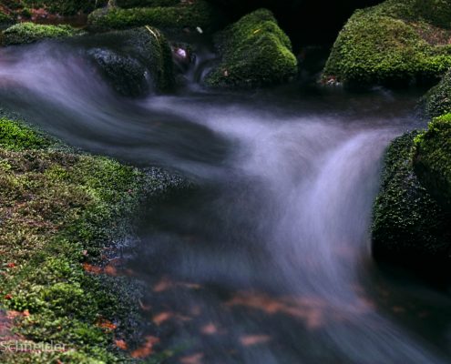 Fotokurs Langzeitbelichtungen im Harz Fotokurs Langzeitbelichtungen im Harz