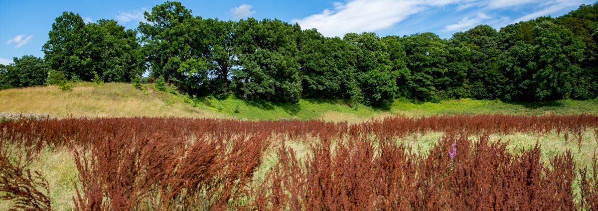 Fotowanderung am Bauerngraben im Südharz