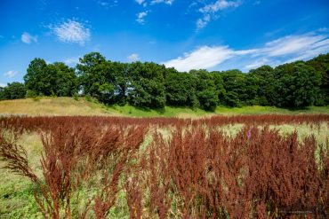Fotowanderung am Bauerngraben im Südharz