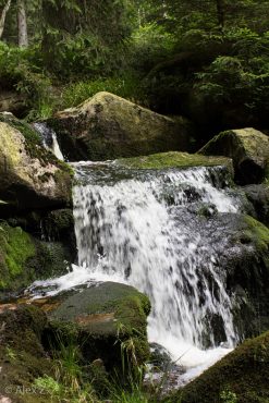 Fotokurs Langzeitbelichtungen im Harz © Alex Z.