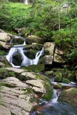 Fotokurs Langzeitbelichtungen im Harz © Alex Z.