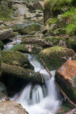 Fotokurs Langzeitbelichtungen im Harz - © Michael G.