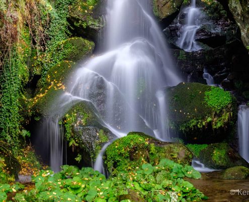 Foto-Wandern.com-Fotoreise-Sächsische-Schweiz-©-Kerstin-Falke