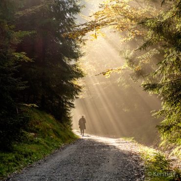 Foto-Wandern.com-Fotoreise-Sächsische-Schweiz-©-Kerstin-Falke