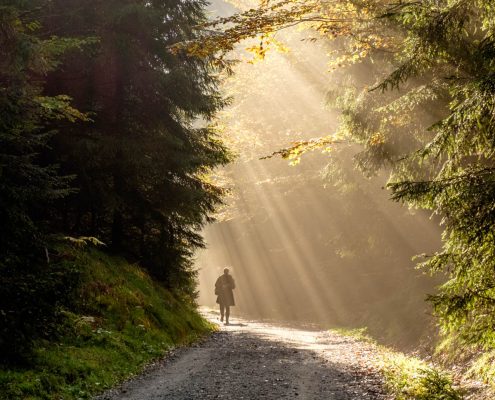 Foto-Wandern.com-Fotoreise-Sächsische-Schweiz-©-Kerstin-Falke