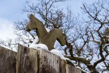 Fotokurs auf der Burgruine Hohnstein im Südharz