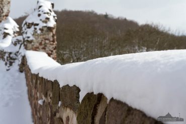Fotokurs auf der Burgruine Hohnstein im Südharz