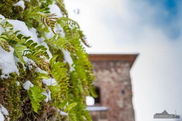 Fotokurs auf der Burgruine Hohnstein im Südharz