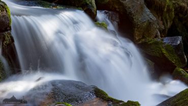 Fotokurs im Nationalpark Harz mit Foto-Wandern.com