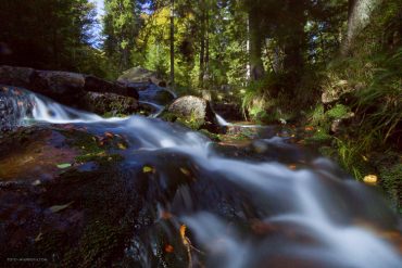 Fotokurs im Nationalpark Harz mit Foto-Wandern.com