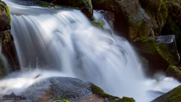 Fotokurs im Nationalpark Harz mit Foto-Wandern.com