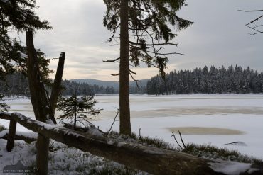 Fotowanderung um den Oderteich
